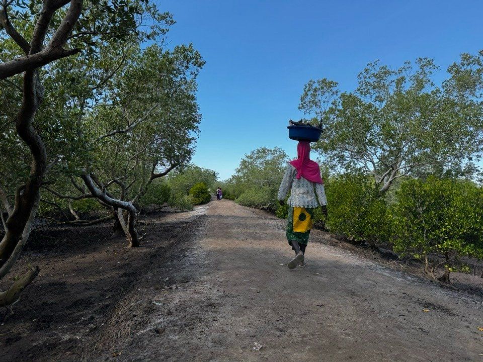 A woman walking a dirt path through woodland carrying a container on her head