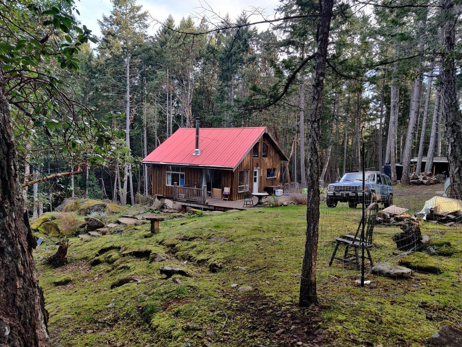 A wooden cabin with a red roof in a mossy forest clearing