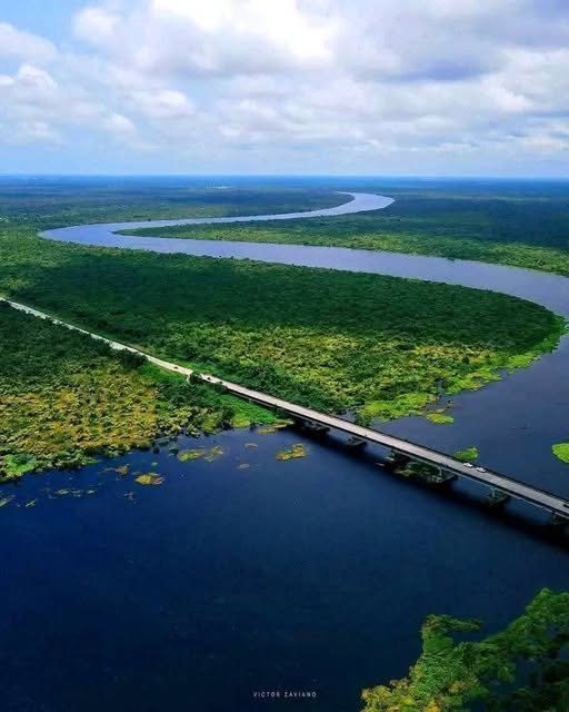 Aerial view of a winding river through green wetland, crossed by a bridge