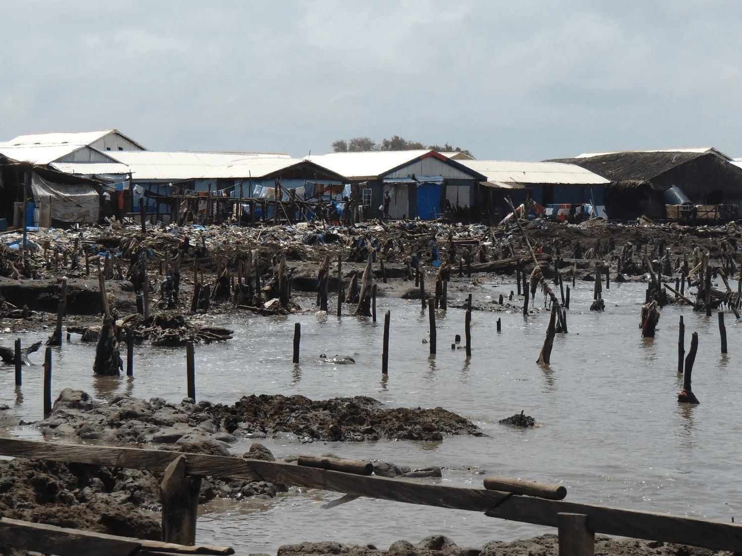 Wooden stilts standing in water along a muddy shoreline, damaged houses behind