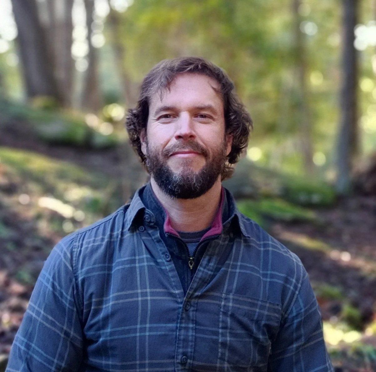 A bearded man in a blue plaid shirt standing in a sunlit forest
